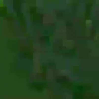 Whassap 10
