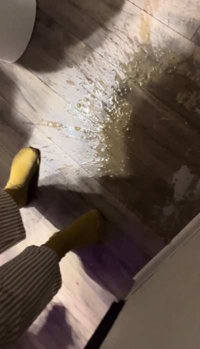 Why go in the toilet when you can just make a mess.<wbr>.?😅🤷🏽<wbr>‍♀️😇