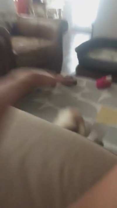 Maybe Maybe Maybe