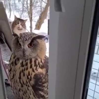 Well, hello there!