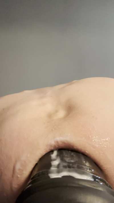 15 inches of horse cock
