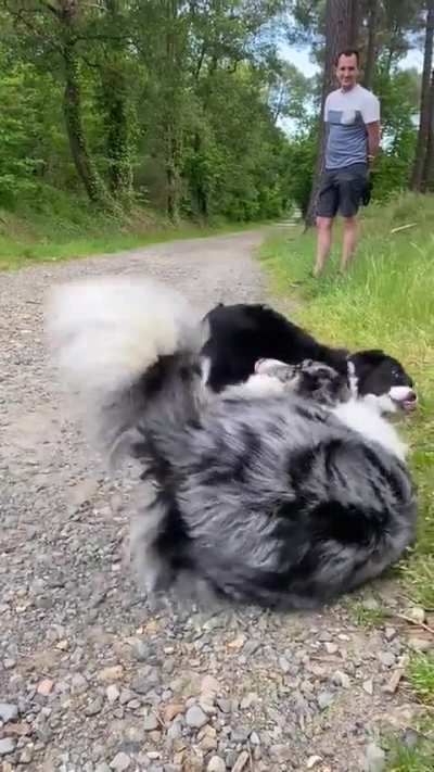 Best friends for life