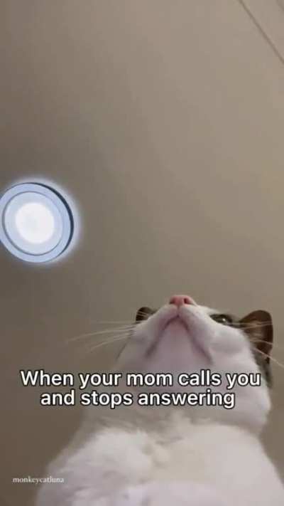 jaaa jaaaaaaa