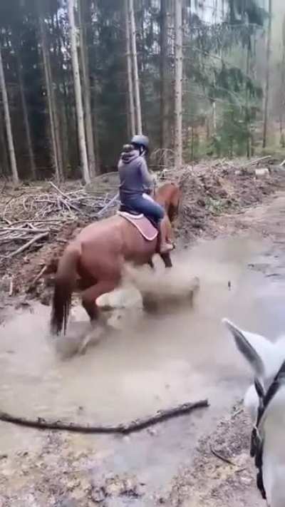 When you discover muddy puddles