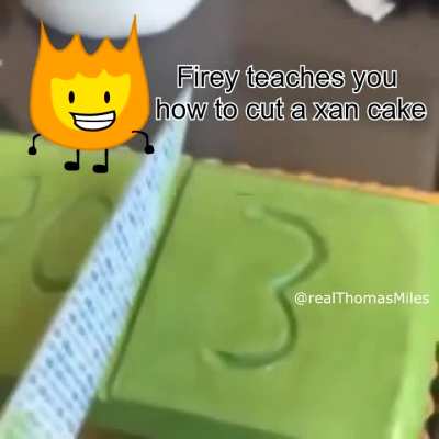 Firey teaches you how to cut a xan cake