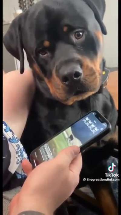 The Humper Call