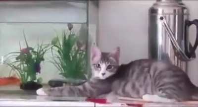 what are you looking at, karen? there is nothing to see here..