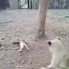 Who's the king