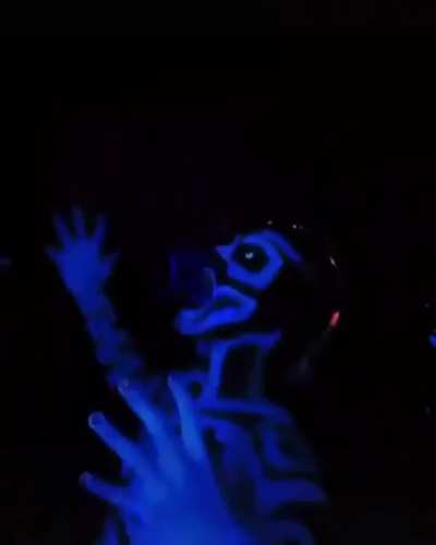 Spooky Scary Skeleton