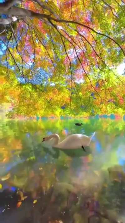 Those lost in the forest of dreams never return