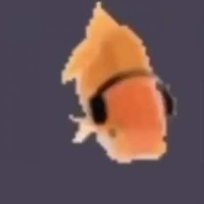 rule fish