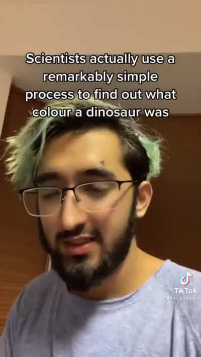 Basic palaeontology.