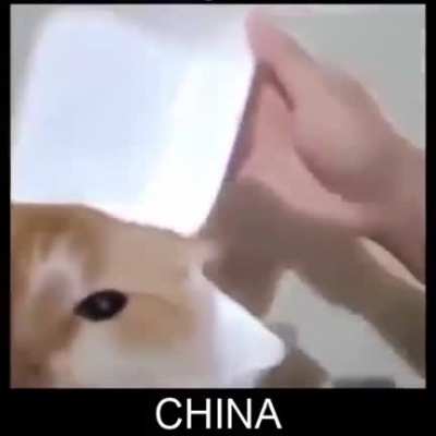 I'm 15 and this is yeet