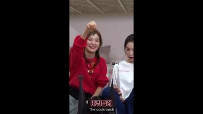 Seulgi vs Centipede