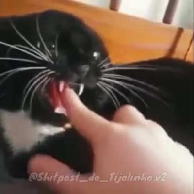 >=)