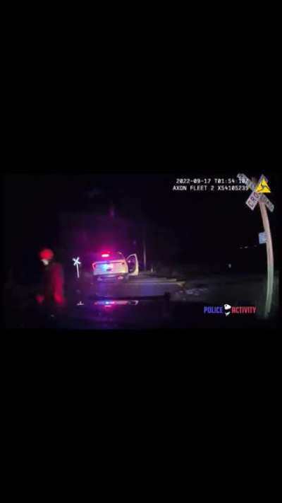Trains Hits Police Car with Handcuffed Woman Inside (cc: PoliceActivity on YT)