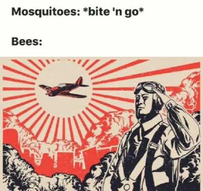 flying things
