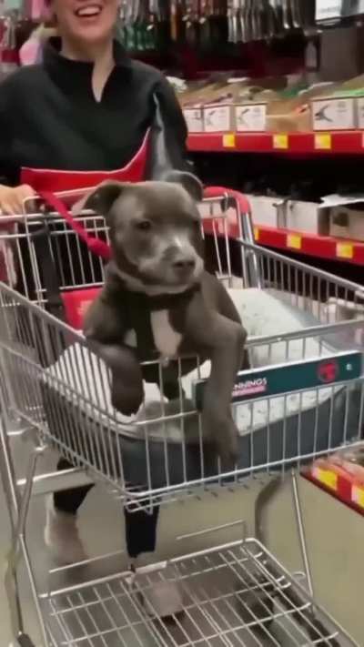 cute and very cute