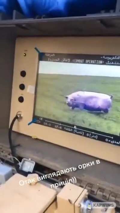Ukrainian Forces observing their spirit animal from Stugna-P ATGM
