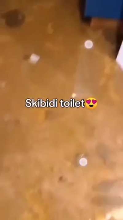 skib