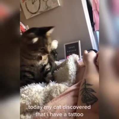 Touch tha Tattoo.