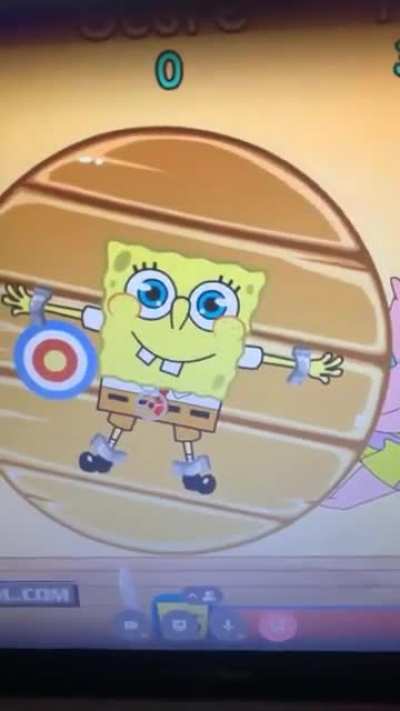 sponge