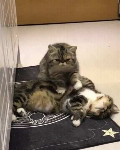 Giving his buddy a massage