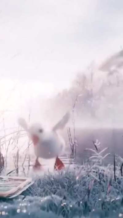Donald Duck is my hero