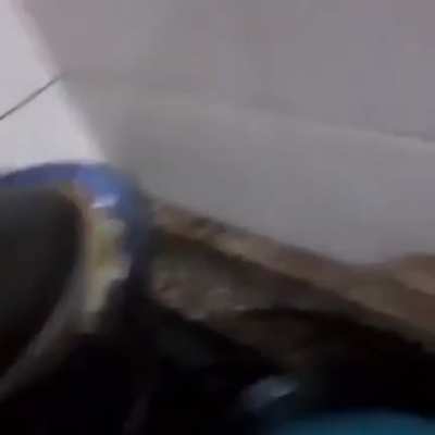 Eu ia comer o meu hambúrguer; -;
