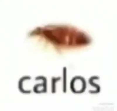 Blursed_Carlos