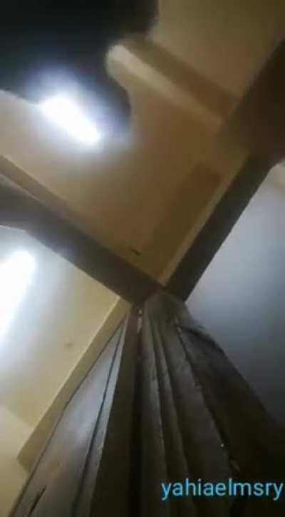 bola