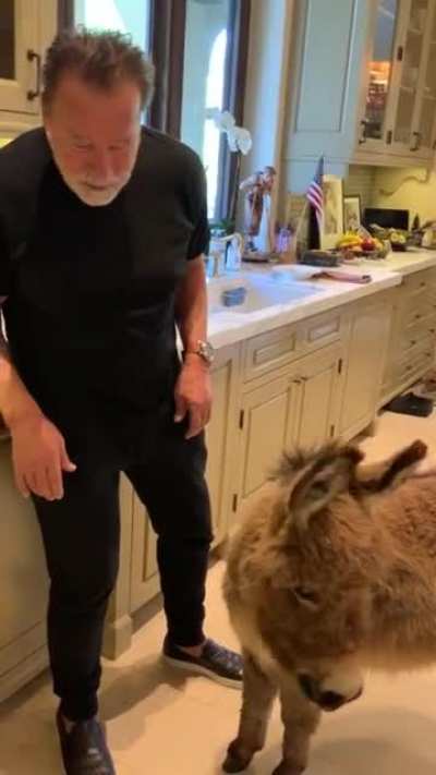 PUT THAT COOKIE DOWN