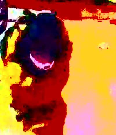 Dog go brbbbrbbbr