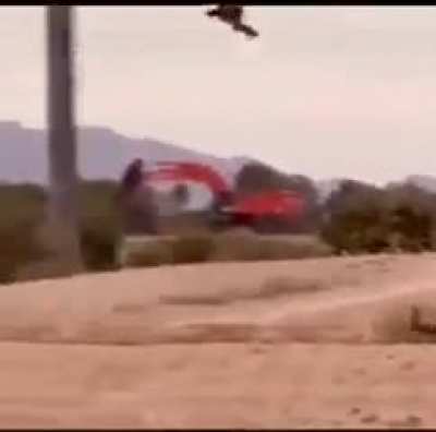 Rabbit does a cobra on eagle
