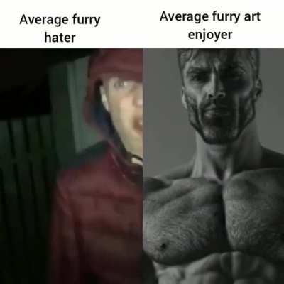 Furry_irl