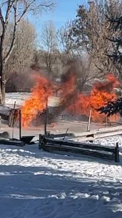 Blew up our Christmas tree today :)