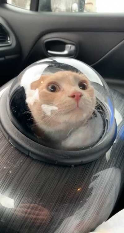 Astronaut
