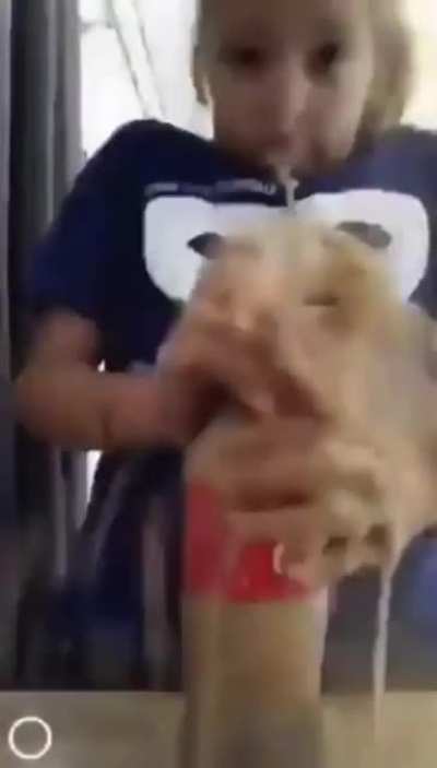 Kids are so stupid