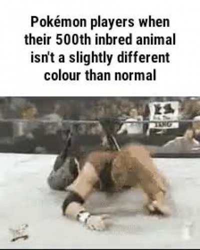 idk if this fits