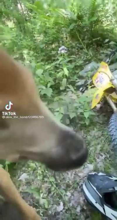 Ëmmmèèèh