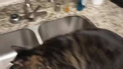 People call meth ice. Jax is an ice addict