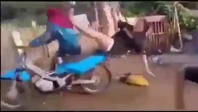 A flip and a dip