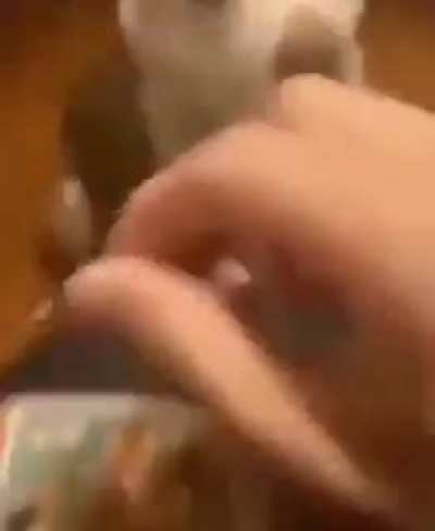 Not the jelly beans