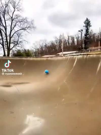 Perfect shot