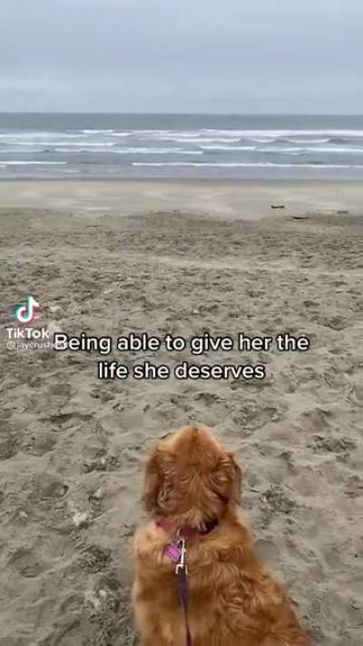 The best motivation