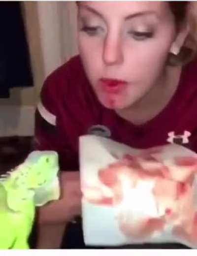 HMC while I fuck with this Iguana