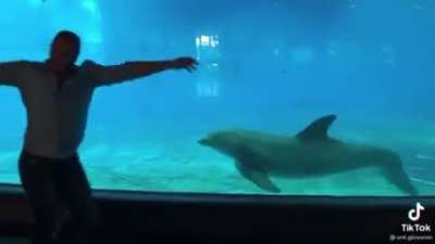 Here’s some gymnastics to brighten your day