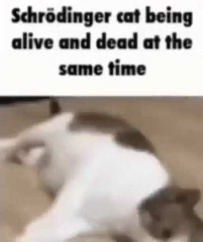 sex