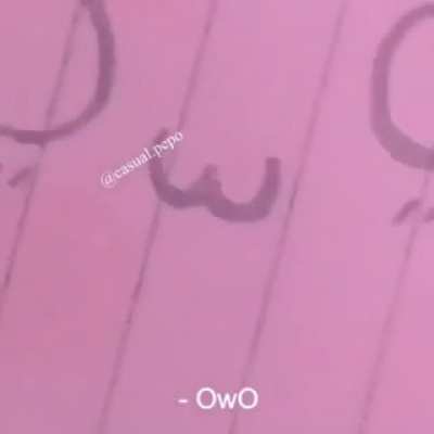 UwU