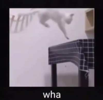 double wump (wunk jump)